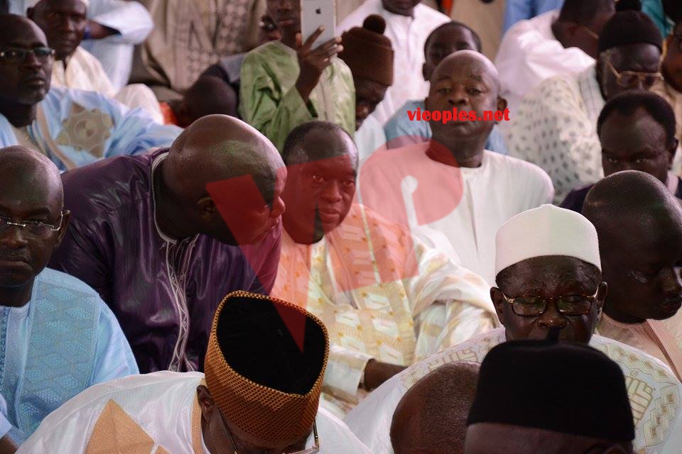 21291042_413754229020646_1114694516_n