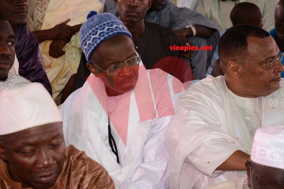 21322536_413753702354032_77473900_n