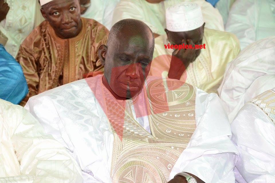 21322606_413753942354008_2081542356_n