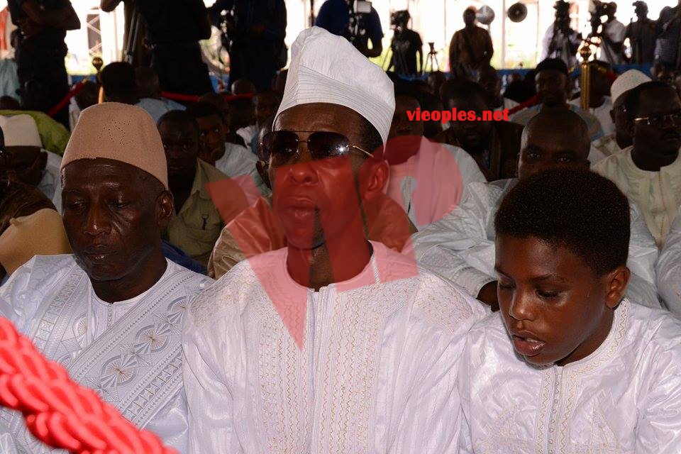 21291236_413754105687325_388491226_n