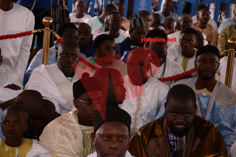 21269523_413754082353994_870066884_n