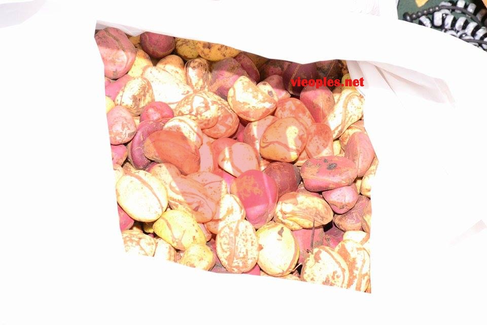 21942092_421268691602533_992390165_n