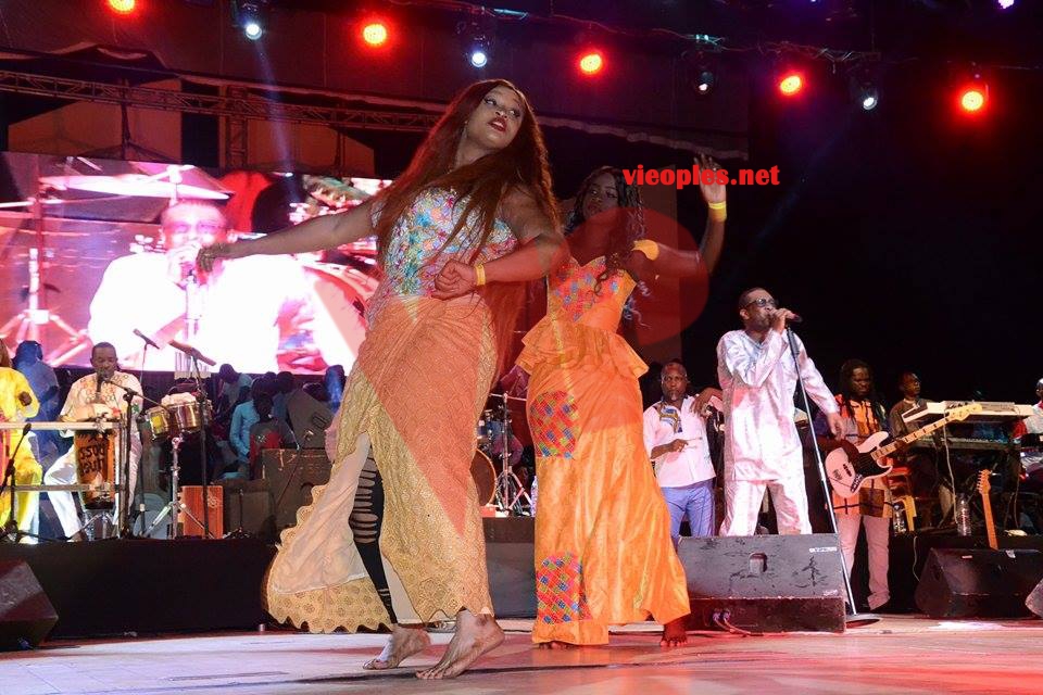 23477001_438998289829573_2023838440_n