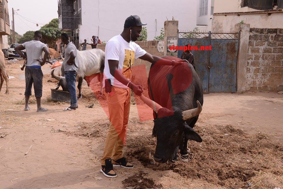 23897949_443633652699370_849957378_n