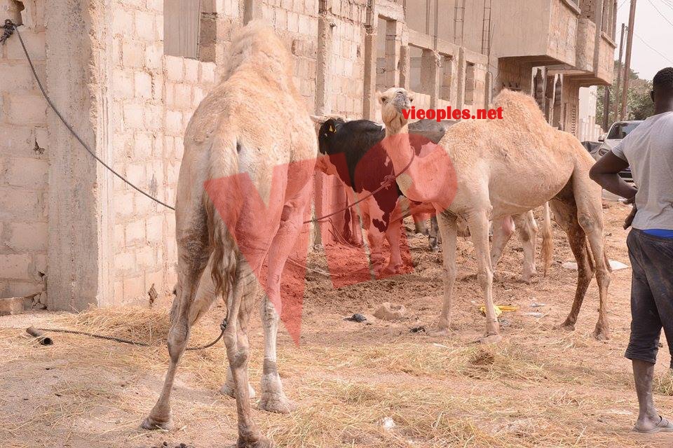 23898022_443633612699374_413323032_n