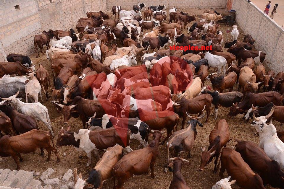 24098824_443633349366067_299154012_n