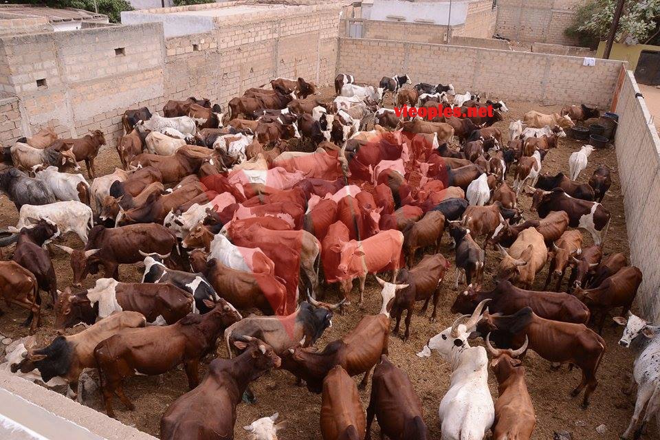 23897791_443633332699402_1094034111_n