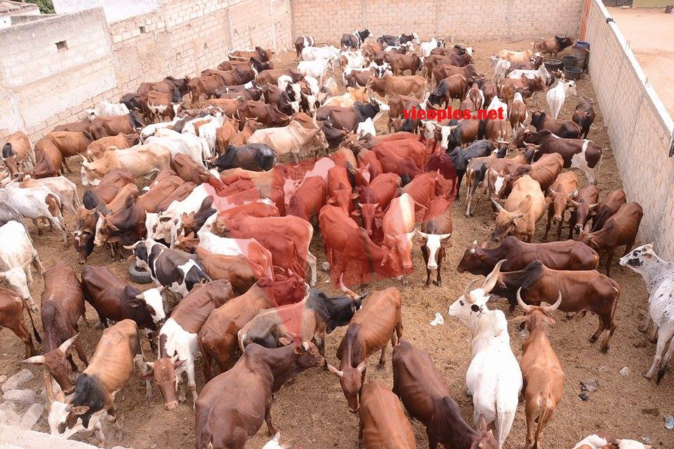 23899120_443633319366070_1259213237_n