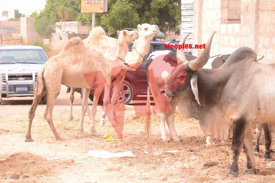 23899515_443632799366122_1670912172_n