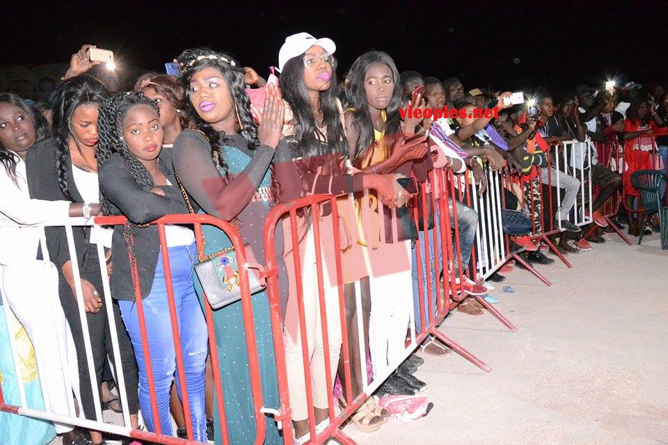 25990826_454695114926557_286327581_n