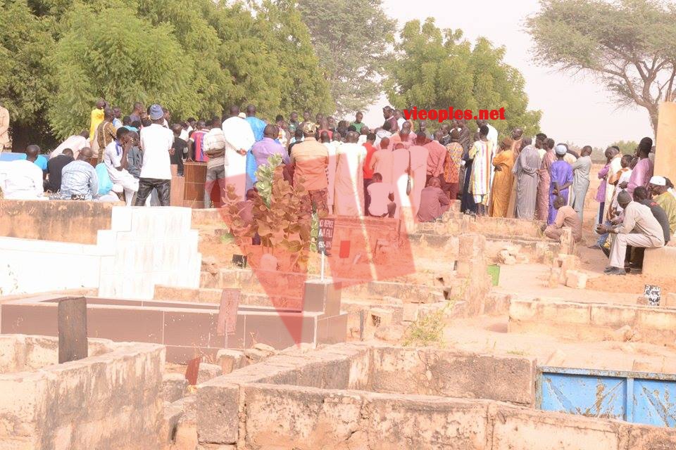 26103039_456040704791998_1928421819_n