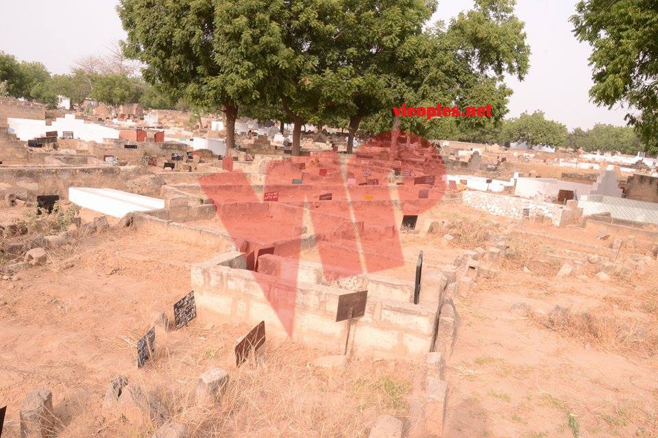 26135054_456042391458496_1221893552_n