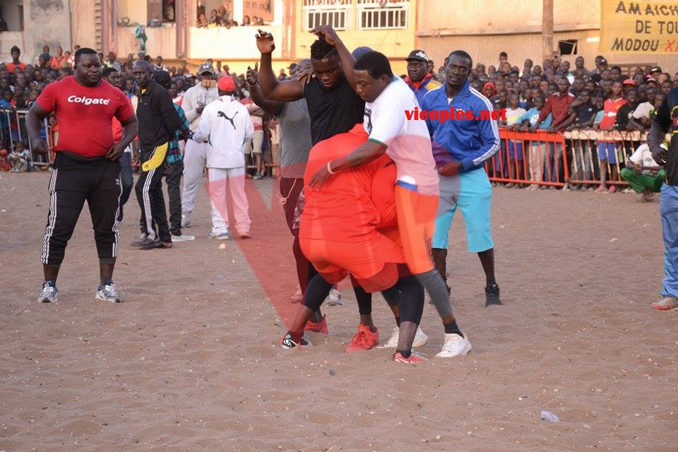 27292862_467903773605691_733505288_n