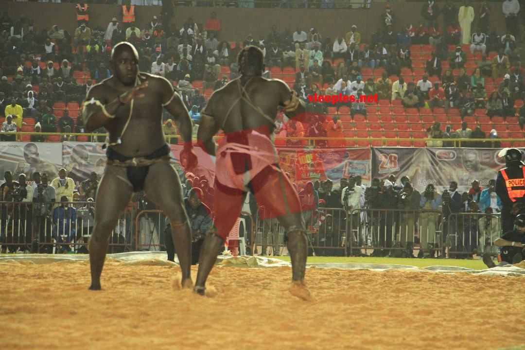 27479507_469664780096257_1830014375_o