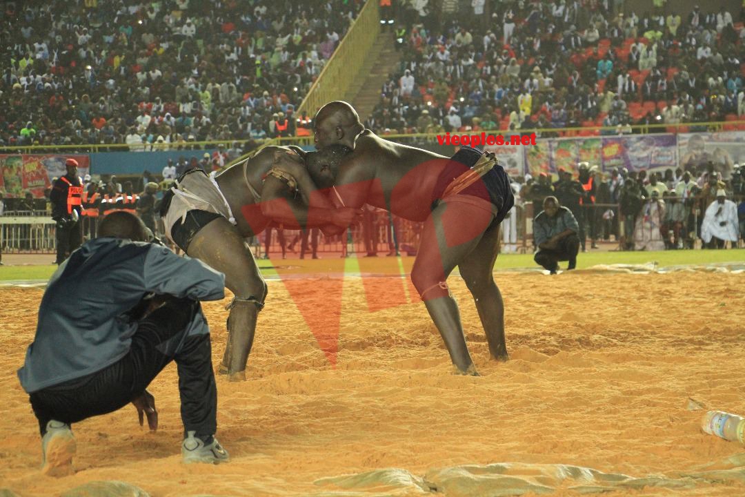 27479520_469664480096287_122868502_o