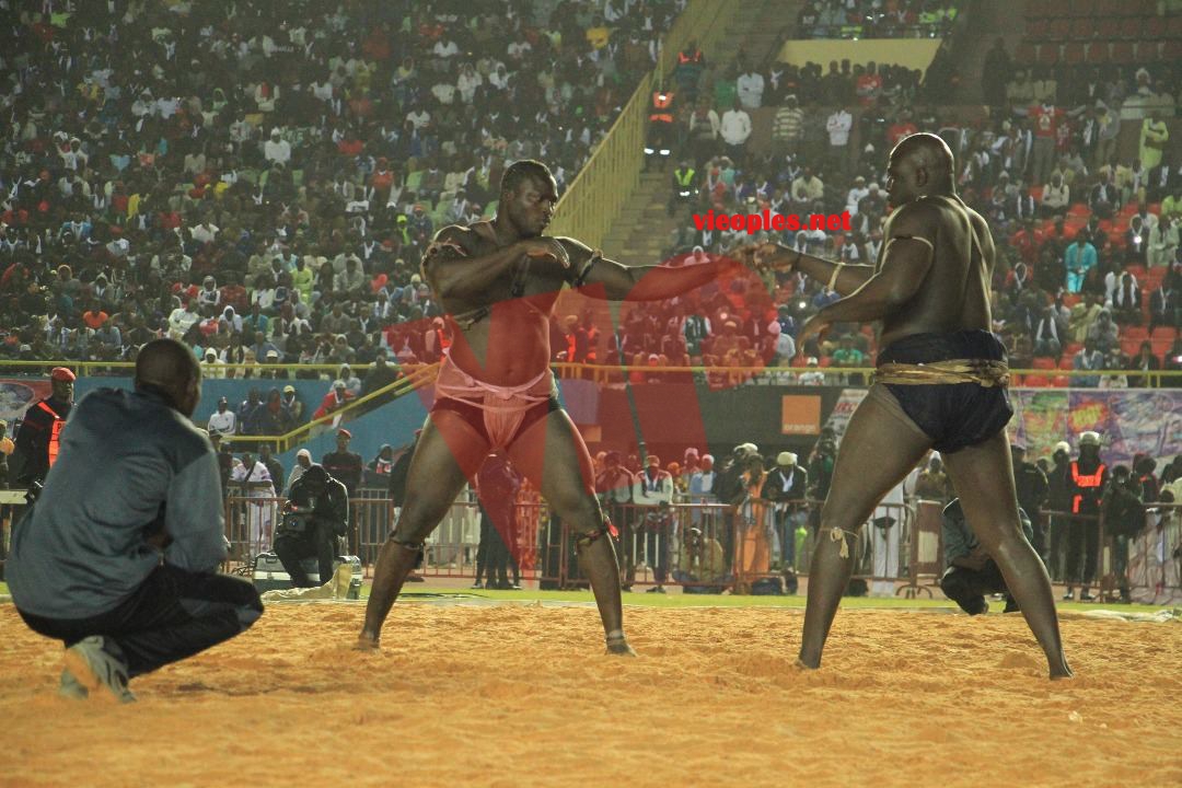 27484410_469665266762875_1936961323_o