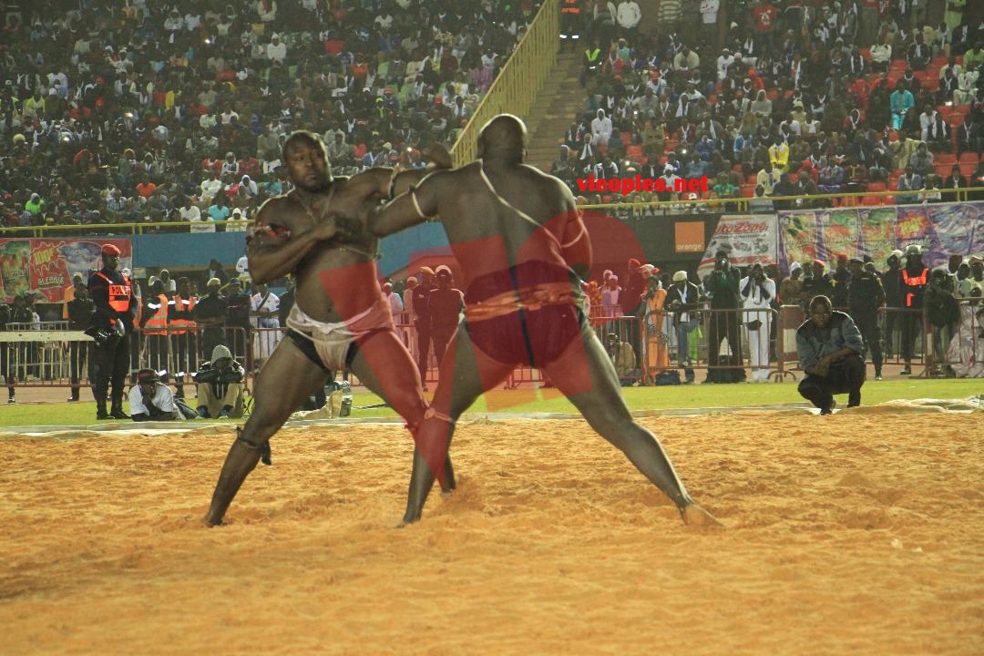 27484741_469665210096214_1496624452_o