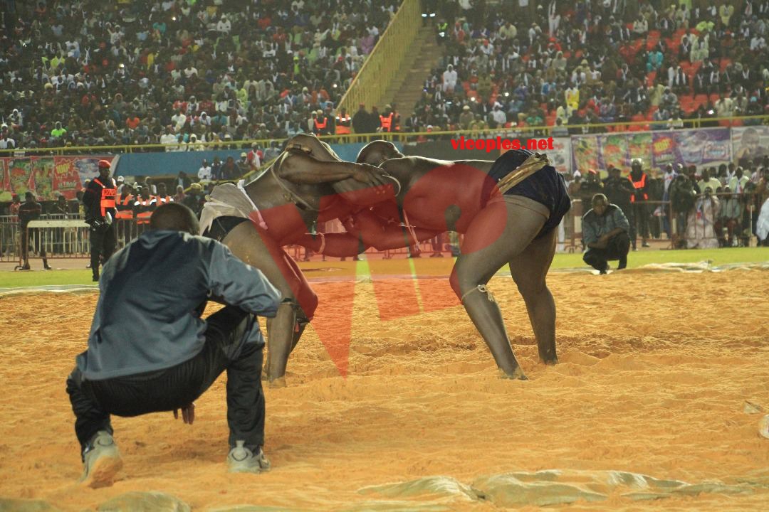 27485192_469664710096264_1376546831_o