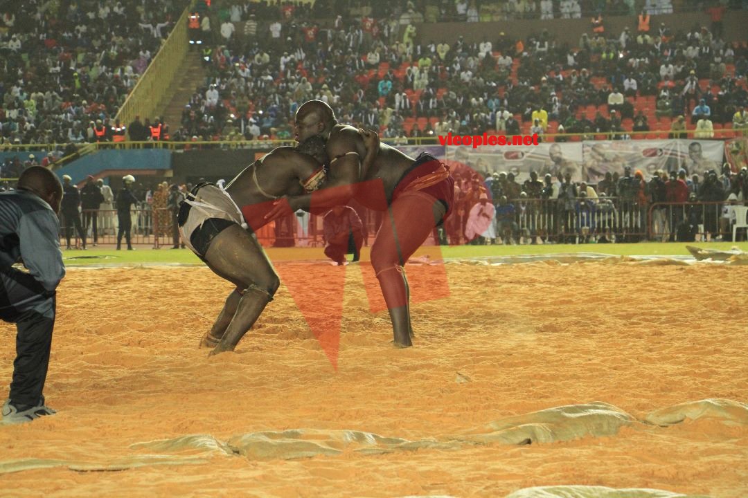 27535585_469664336762968_2089394881_o