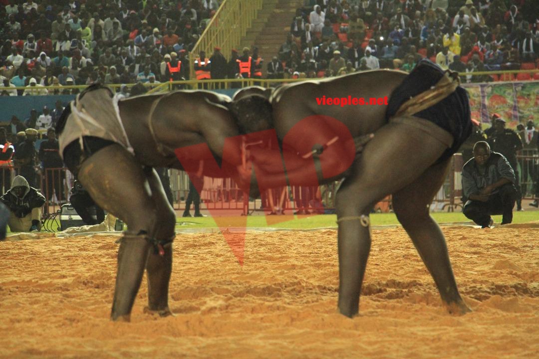 27535623_469664733429595_887760690_o