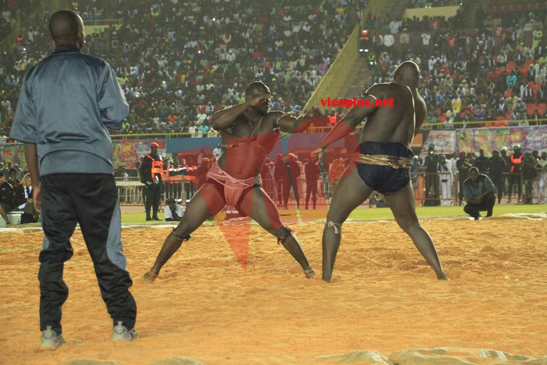 27535755_469665170096218_934404628_o