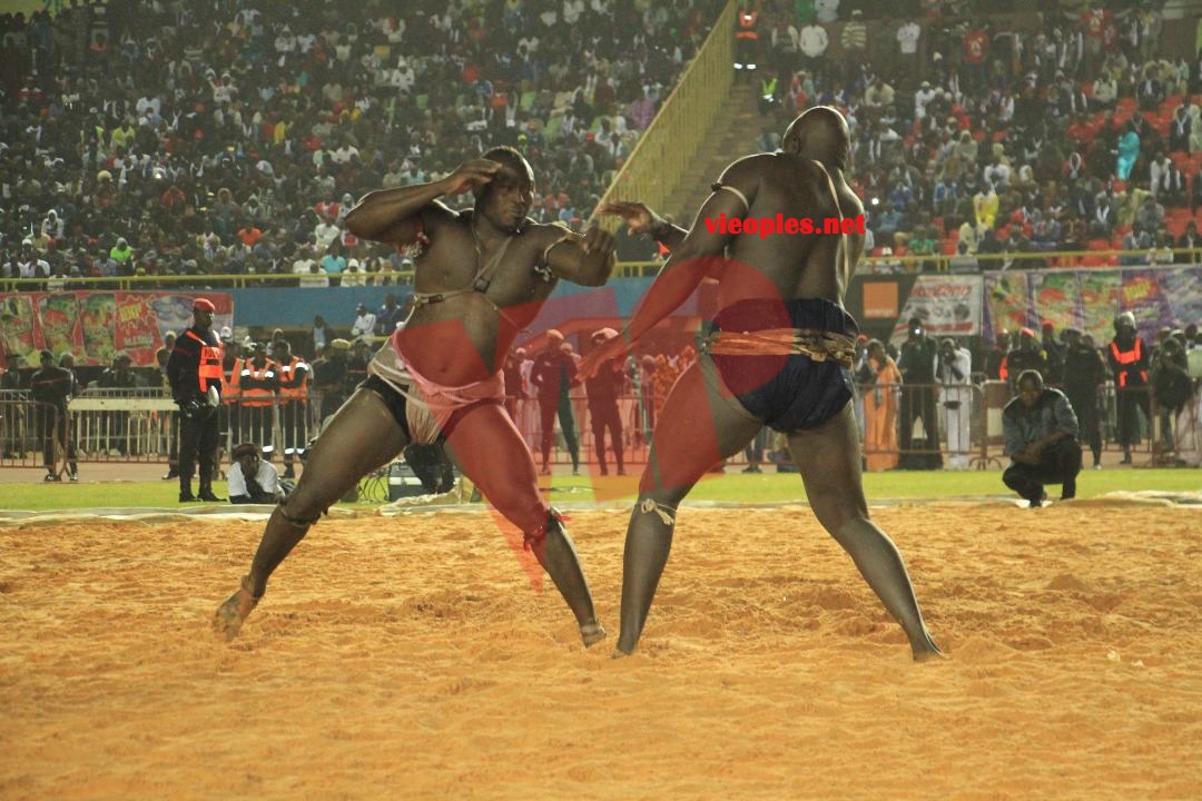 27535845_469664253429643_973136471_o