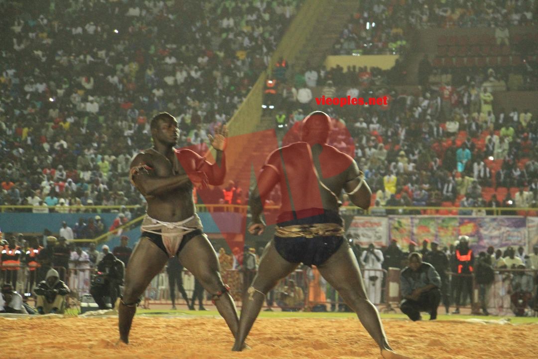 27536806_469665070096228_588674798_o